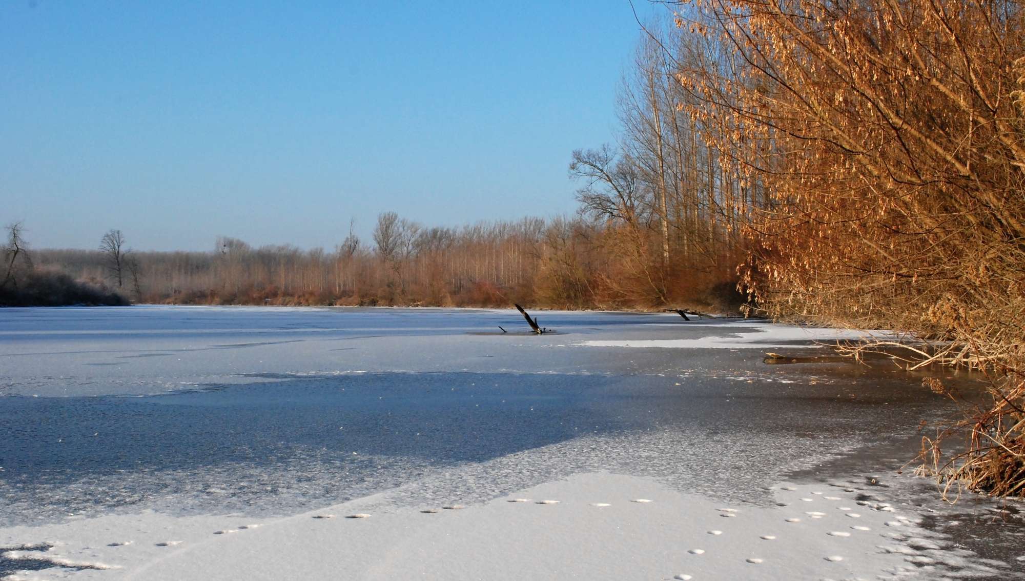 Dunajské Luhy zima.